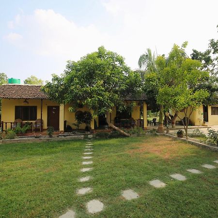Bardia Eco Friendly Homestay Bardiya Exterior photo